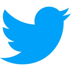 Twitter logo in the blue bird style